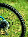 bicycle tire